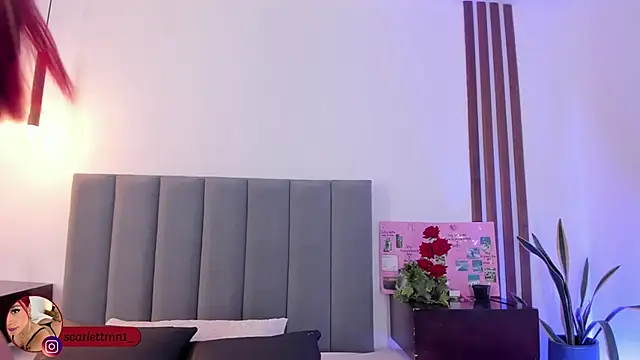 Scarlett Morgan  online show from 24, 11, 2025