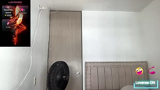 bob petterson online show from 12, 11, 2025