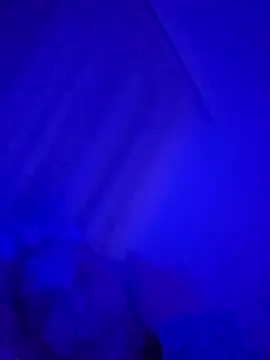 denisxlRo online show from 16, 3, 2025