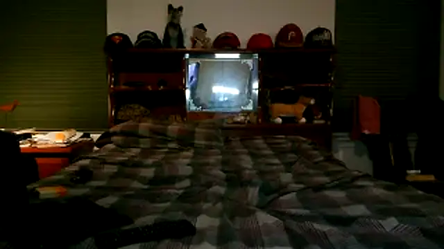 pimpdaddy4ever online show from 18, 11, 2025