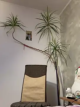 derek1494 online show from 9, 1, 2026