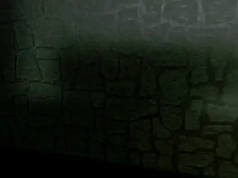 Lilyevansx online show from 12, 10, 2025