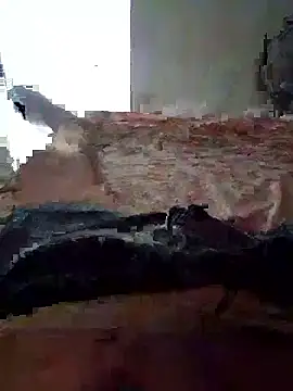 pauzaoduro12 online show from 7, 1, 2026