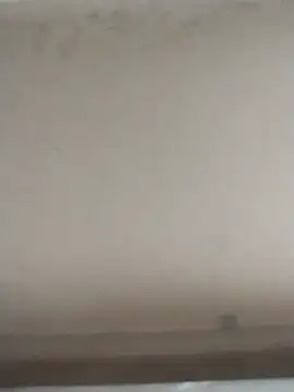 tatoocba88 online show from 28, 11, 2025