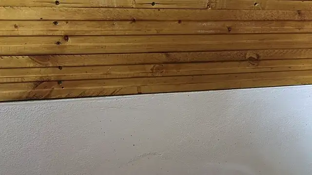 Snapshot of 00loret chatting on 20, 2, 2025 00loret online show from 20, 2, 2025