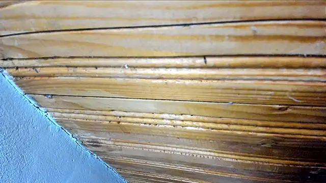 Snapshot of 00loret chatting on 21, 2, 2025 00loret online show from 21, 2, 2025