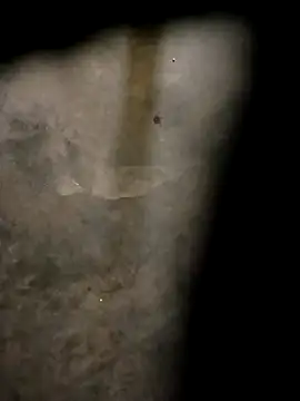 Yasha 14C Creator online show from 31, 10, 2025