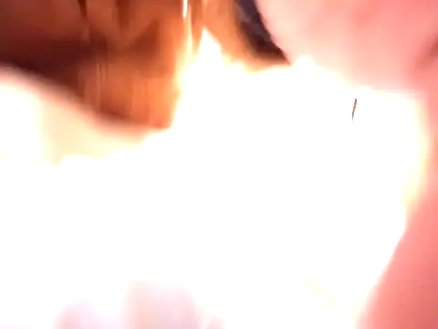 pnp0Japan online show from 31, 12, 2024