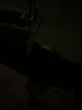 nowex18 online show from 11, 3, 2026