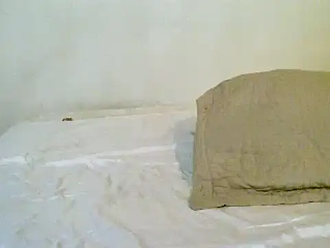 pollarikaaa online show from 10, 11, 2025