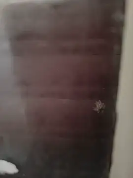 Snapshot of hardgetsex chatting on 29, 9, 2025 hardgetsex online show from 29, 9, 2025