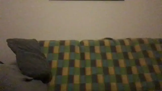 Totipro69 online show from 4, 12, 2024