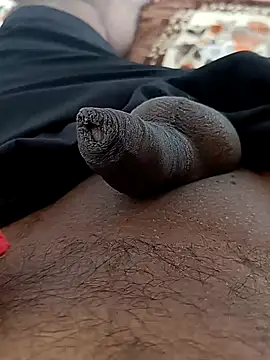 sat 1234 online show from 16, 12, 2024