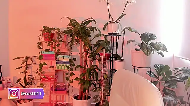 rossth1 online show from 24, 10, 2025