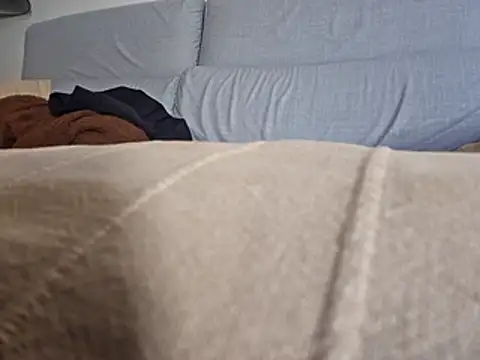 PeDrO2024 25 online show from 26, 2, 2026