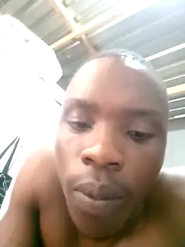 199Gif online show from 29, 3, 2026