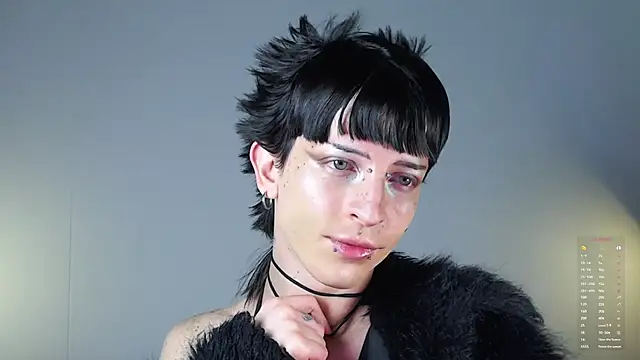 succubot online show from 28, 11, 2025