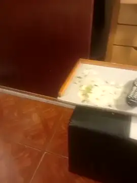 Snapshot of jmliimonsito chatting on 3, 4, 2026 jmliimonsito online show from 3, 4, 2026