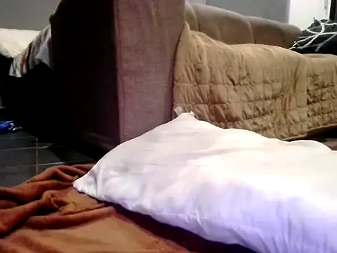 youngdice366 online show from 6, 1, 2026