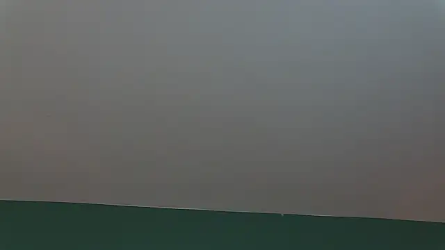 AlicePirs online show from 25, 1, 2025