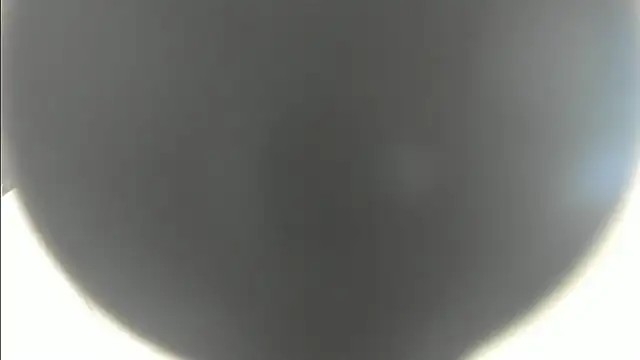 linasantoss online show from 26, 1, 2025