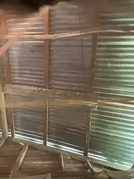 Snapshot of phola12 chatting on 27, 2, 2025 phola12 online show from 27, 2, 2025