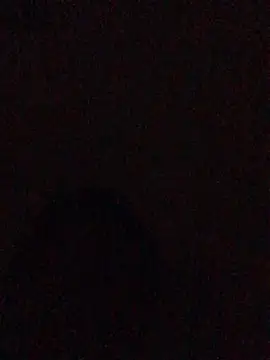 hoot07089 online show from 13, 12, 2024