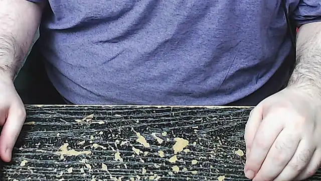 Dominant BEAR online show from 4, 11, 2025