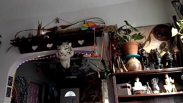 Robriguezxxx online show from 16, 2, 2025