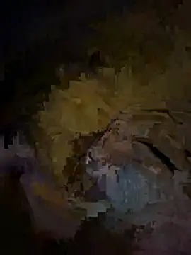 amy gata online show from 5, 3, 2026