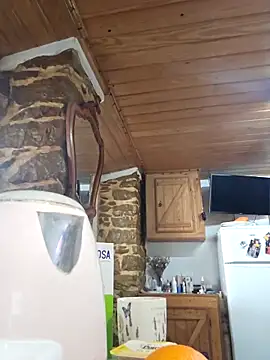 zarina3003 online show from 3, 3, 2026