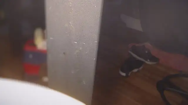 flexingplexico online show from 1, 3, 2025