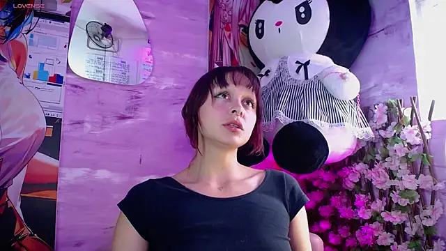 bombom 6 online show from 3, 12, 2025