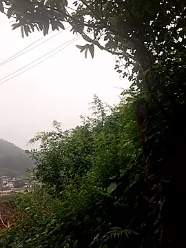 lustforlife9622 online show from 3, 12, 2025