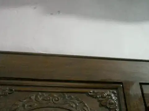 lallantoplonda online show from 19, 2, 2026