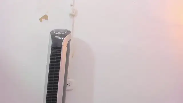 penelope handaos online show from 12, 12, 2024