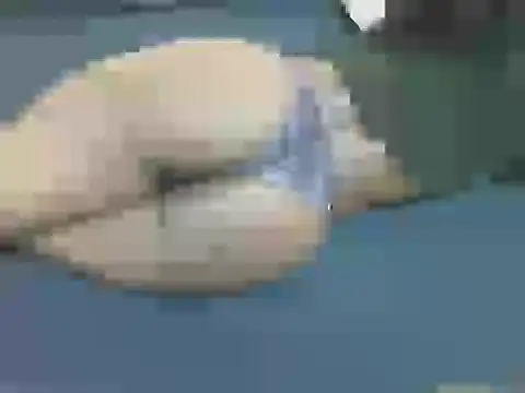 lella-0 online show from 16, 10, 2025