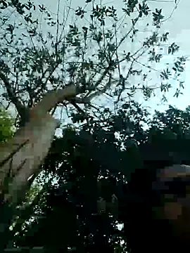 Snapshot of Young_couple143 chatting on 11, 3, 2025 Young couple143 online show from 11, 3, 2025