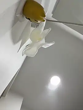 Amber Rush  online show from 15, 9, 2025