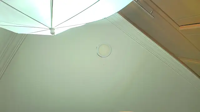 Snapshot of stella_xue chatting on 20, 3, 2025 stella xue online show from 20, 3, 2025