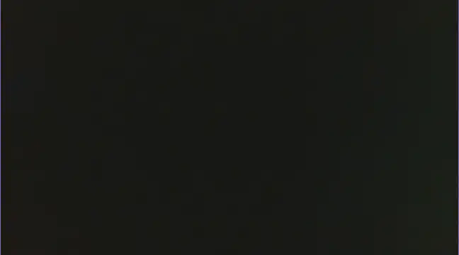 Snapshot of Geisha_Seniers chatting on 15, 2, 2025 Geisha Seniers online show from 15, 2, 2025