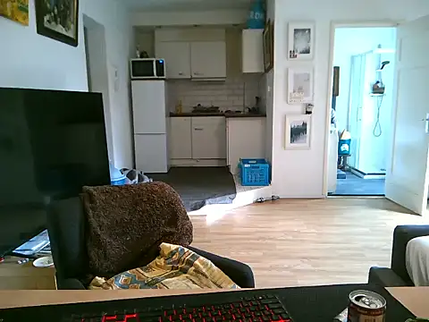 Snapshot of mihaimichael chatting on 11, 5, 2026 mihaimichael online show from 11, 5, 2026