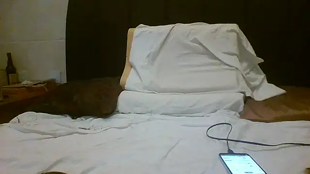 Snapshot of Denisilboss chatting on 24, 3, 2026 Denisilboss online show from 24, 3, 2026