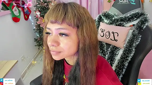 zoesullivan online show from 23, 11, 2025