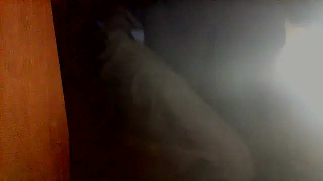 nice6incs online show from 5, 11, 2025