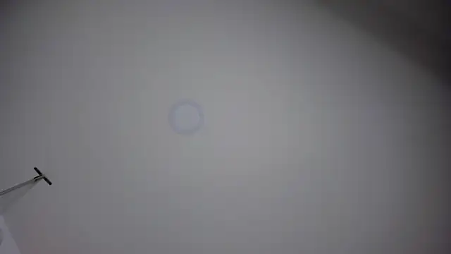 ChloeConnorr online show from 28, 12, 2024