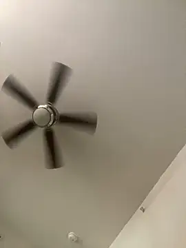 goldbuni online show from 3, 12, 2024