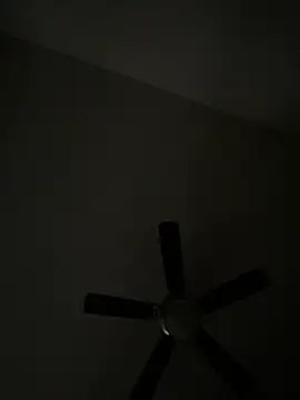 goldbuni online show from 8, 12, 2024