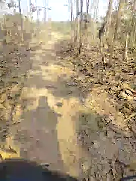 88karan88 online show from 25, 12, 2024