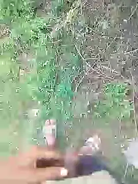 88karan88 online show from 20, 1, 2025